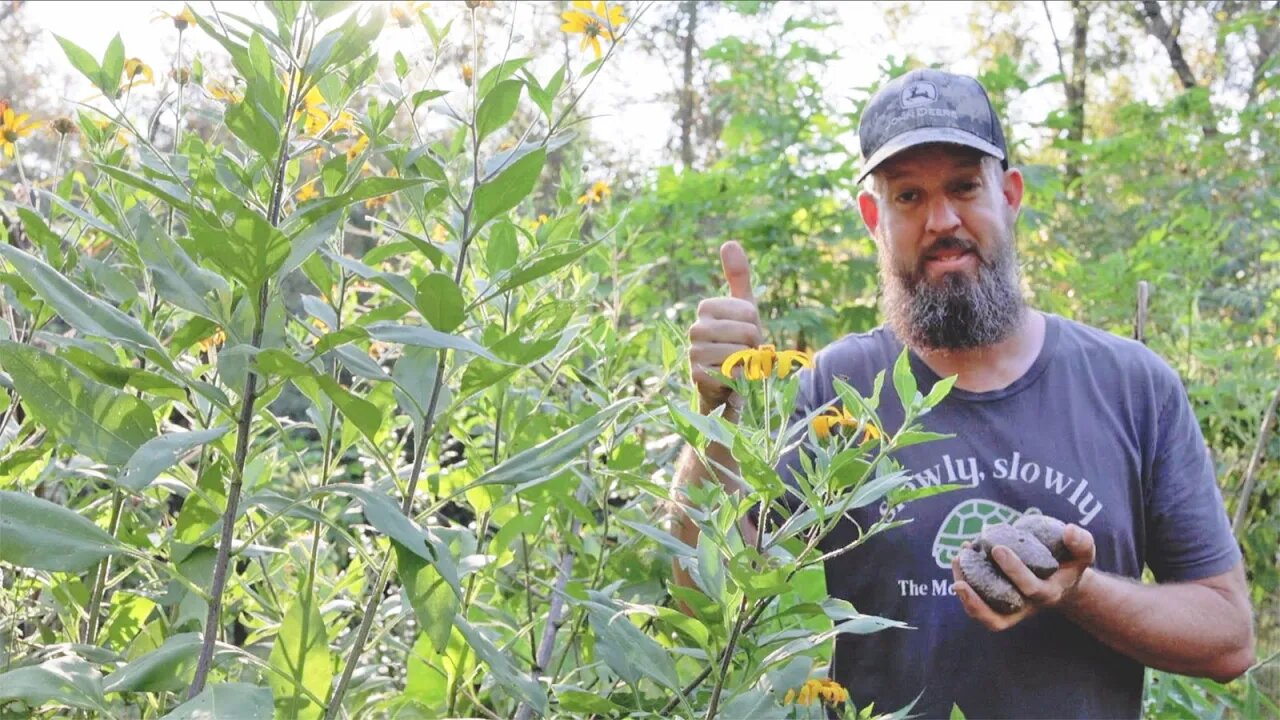 How to Grow Food the Easy Way (HINT: it's NOT a gardening method!)