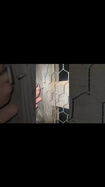 Seperating the chickens is telling the tale. Freeloaders will be going to freezer camp soon.