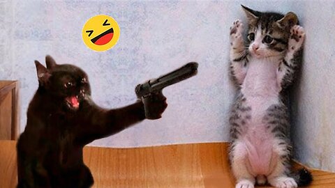 World Best Funniest🤣Cat vs animal vs Kid 🤼‍♂️ Entertainment Don't Try Laughing 🤣 2024 clips 🫡