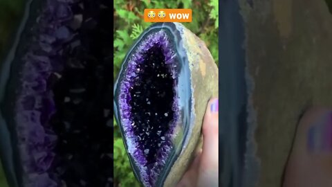 This is so beautiful 😻 #shorts #viral #trendingshorts #hype #youtubeshorts