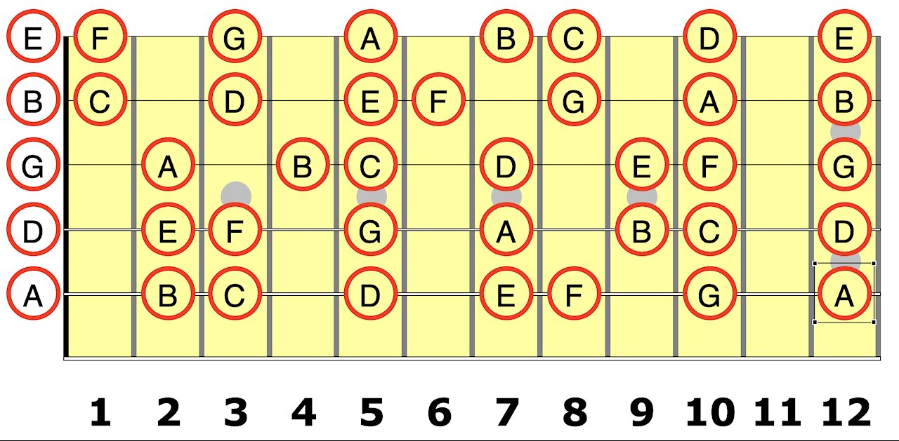 The 5th String for the Guitar Student