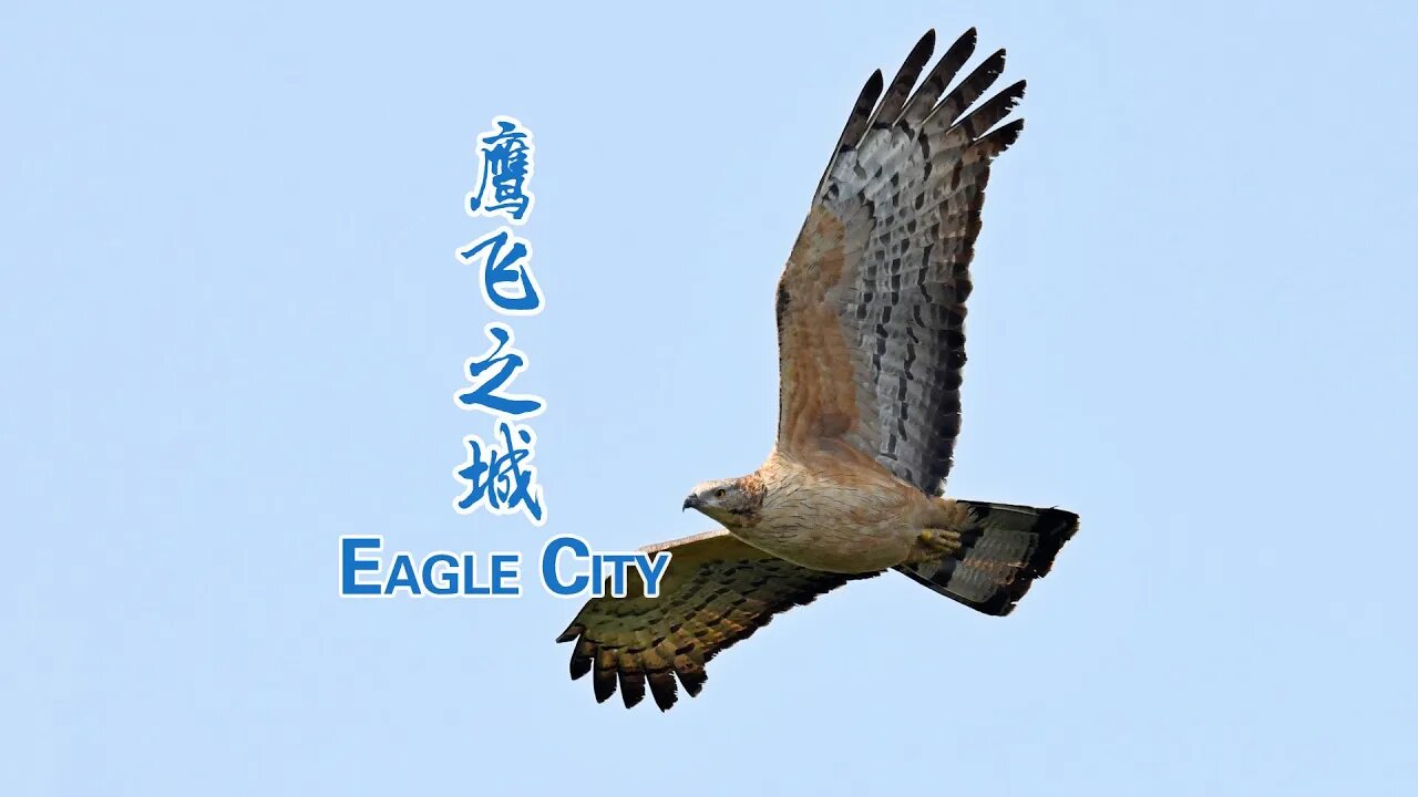 'Eagle City' Name Card Underscores Chongqing's New Status for Ecological Civilisation