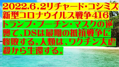 2022.06.02 リチャード・コシミズ新型コロナウイルス戦争４１６