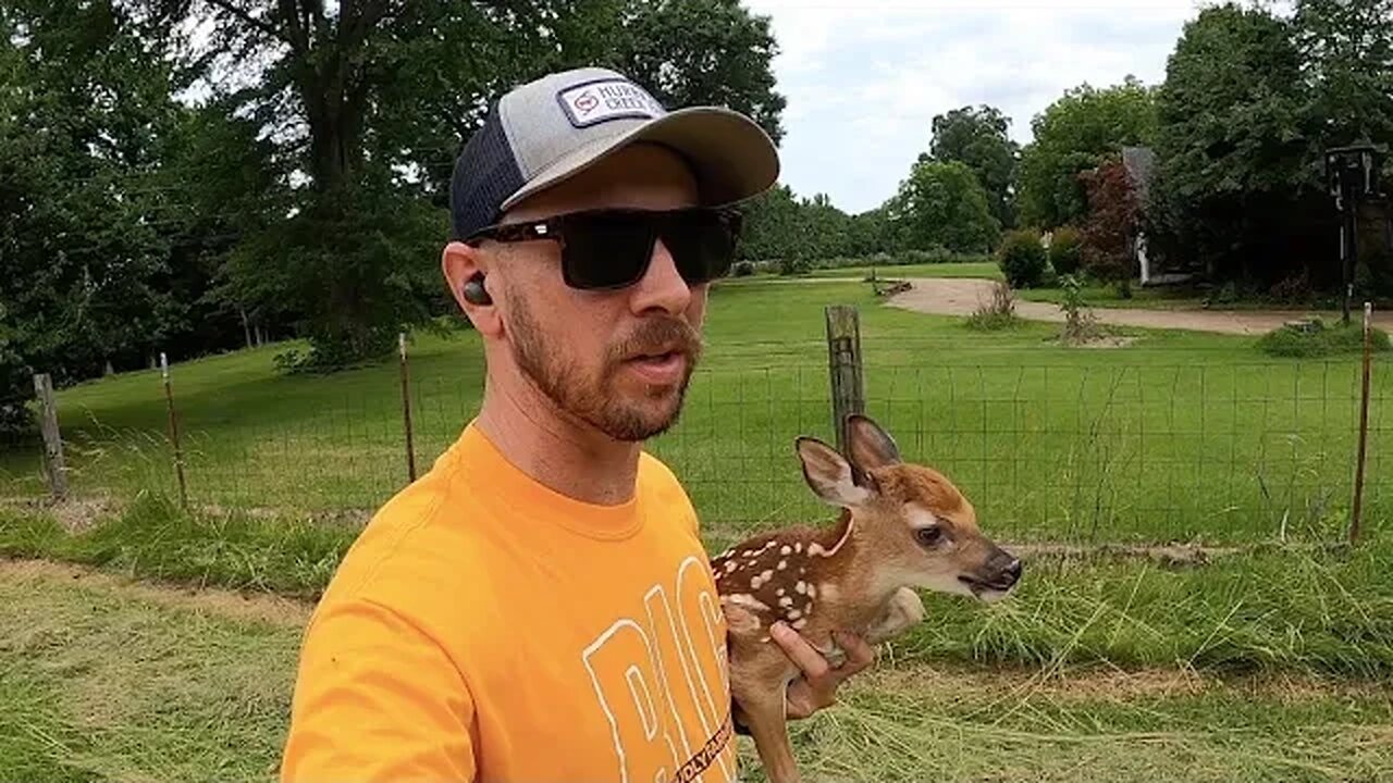 We had to rescue a baby fawn!!!