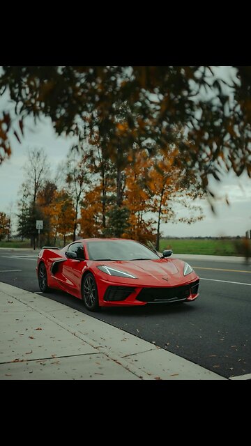 Corvette Anyone? 🙂‍↔️ #Corvettetribute
