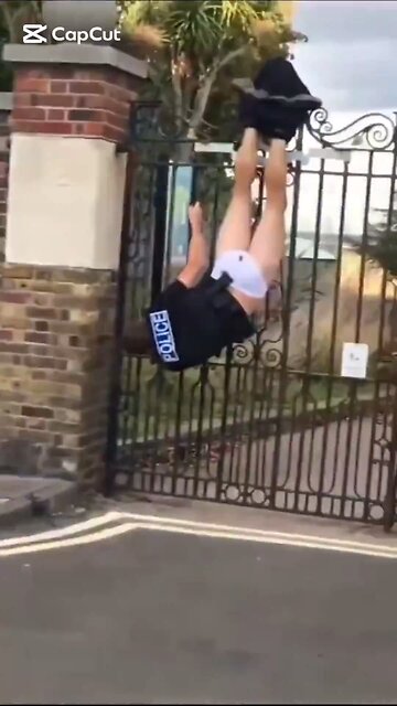 Ended up like this after a chase ?