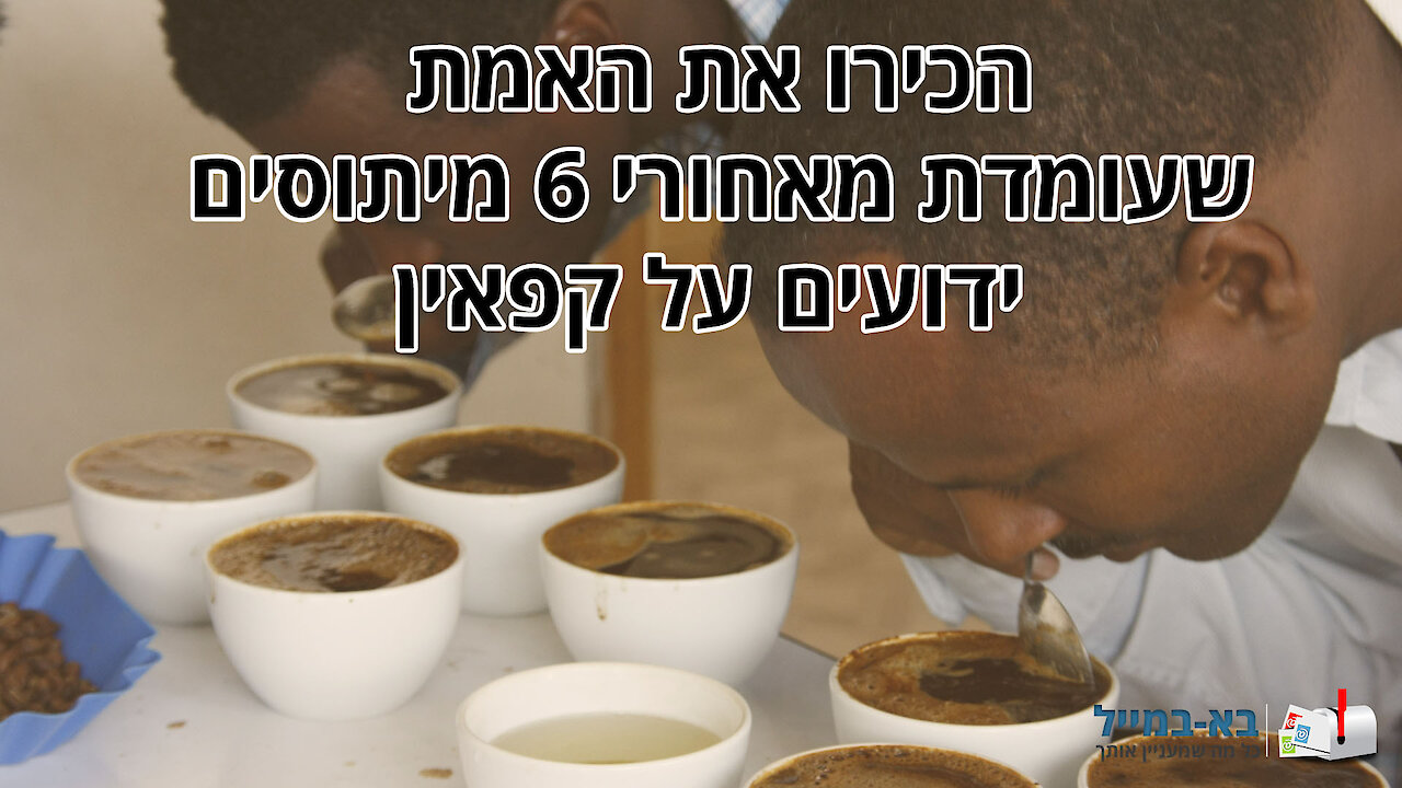 6 מיתוסים על קפאין והאמת שעומדת מאחוריהם