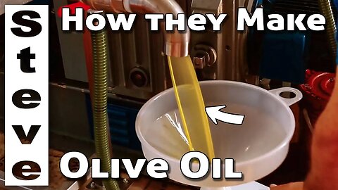 HOW They MAKE OLIVE OIL 🇮🇹 - Touring Europe 12