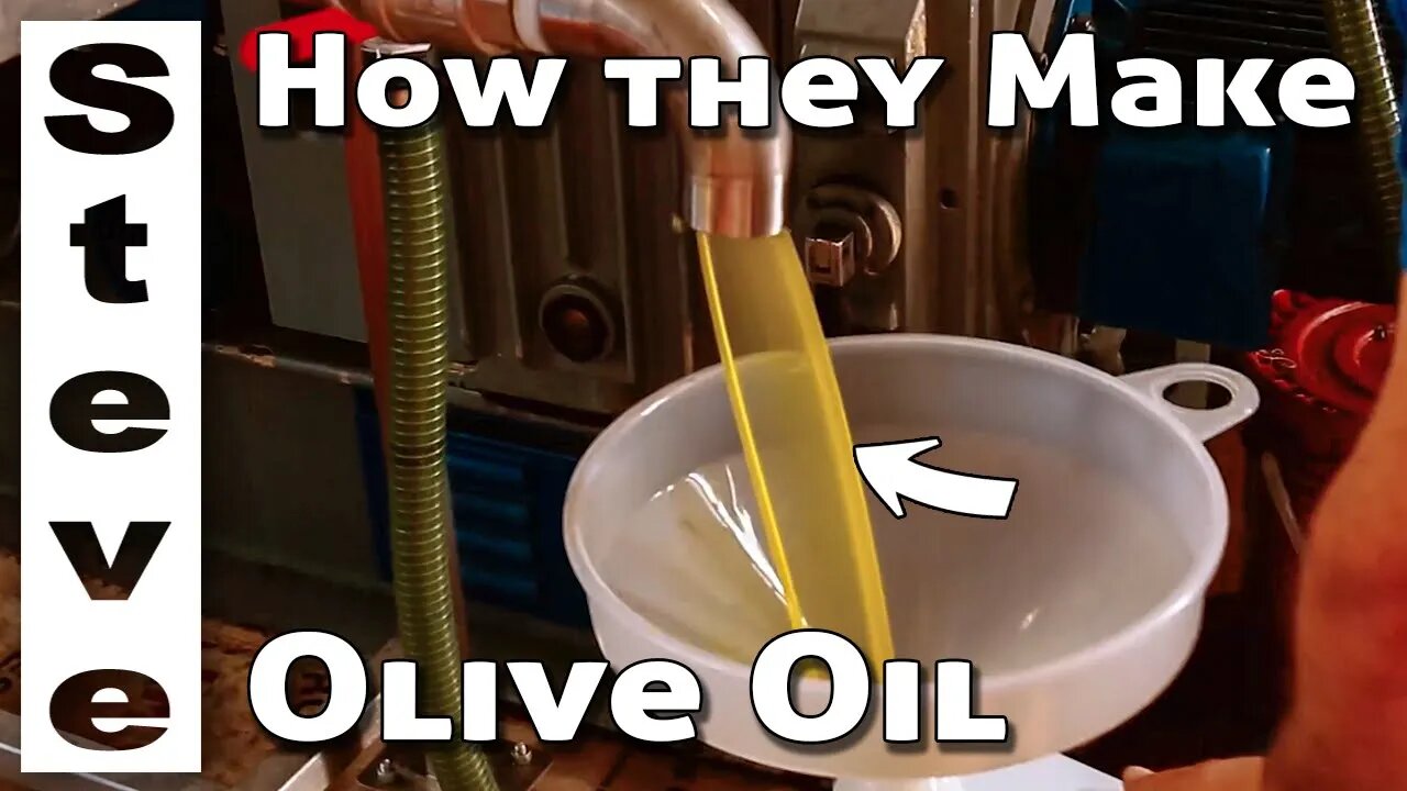 HOW They MAKE OLIVE OIL 🇮🇹 - Touring Europe 12