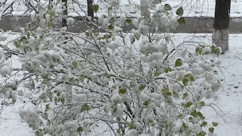 beautiful winter landscape from the window