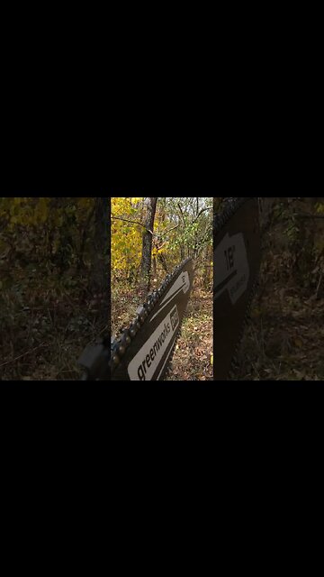 Greenworks PRO 18" Electric Chainsaw clearing tree stand lanes