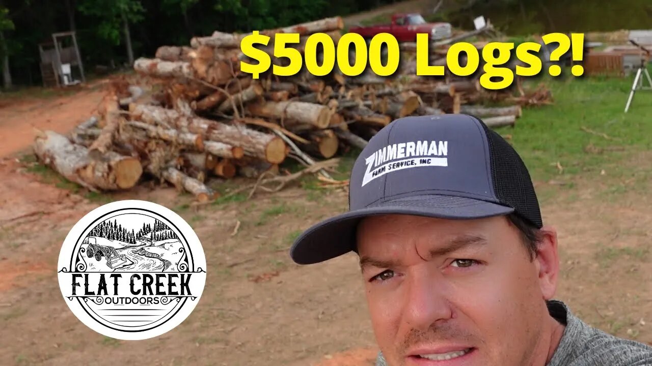 These Logs Cost Over $5000!