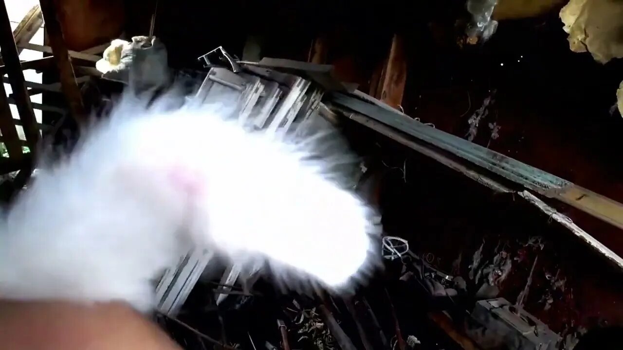 It's scary and cold here đź’–Kitten in the mud, we'll take the kitten home to mom as a gift