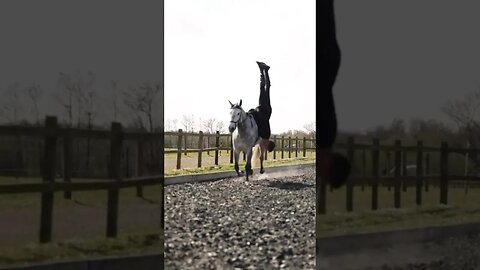 FreddySteele talking trick riding originating from war #horses #horselover #horseriding #trickriding