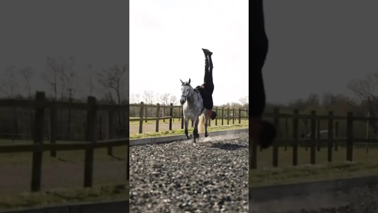 FreddySteele talking trick riding originating from war #horses #horselover #horseriding #trickriding