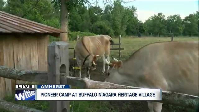 Tend to the farmstead at pioneer camp