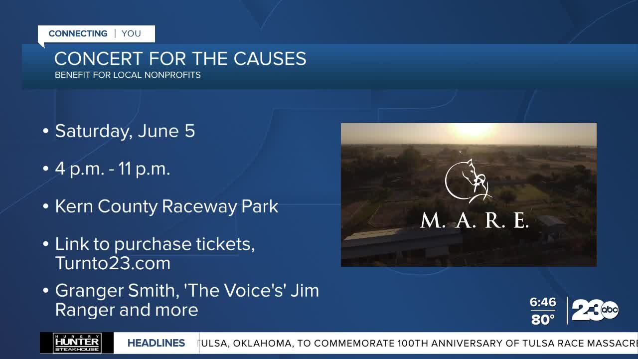 Local nonprofits team up for "Concert for the Causes"