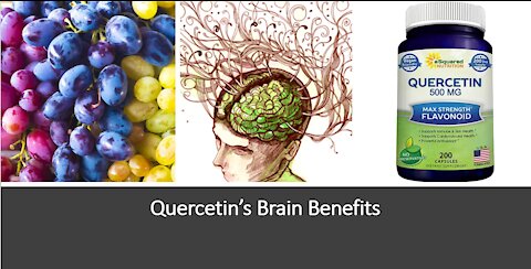 Quercetin Brain Benefits