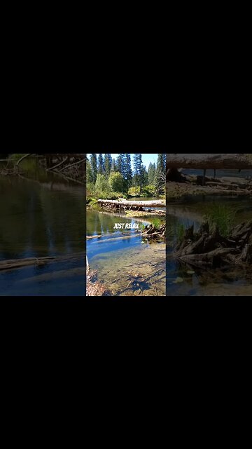 My view at the local creek. Just relax. #relax #nature