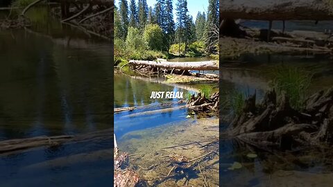 My view at the local creek. Just relax. #relax #nature