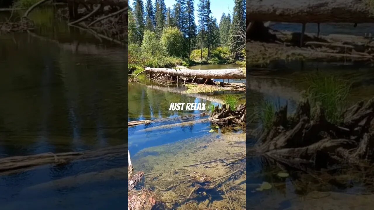 My view at the local creek. Just relax. #relax #nature