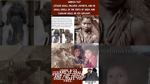 The seed of Japheth is all over the place