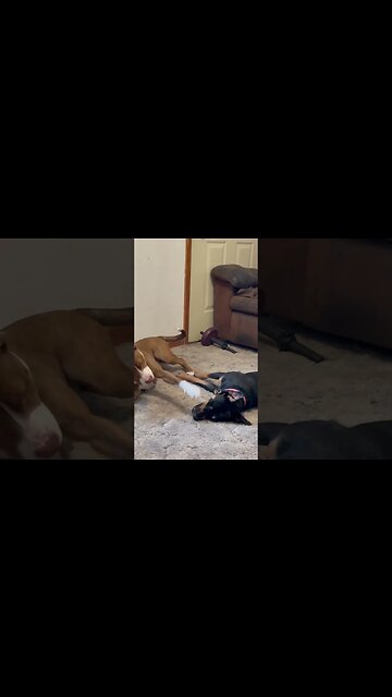 Ima bop you in the head.