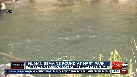 Human remains found in water at Hart Park