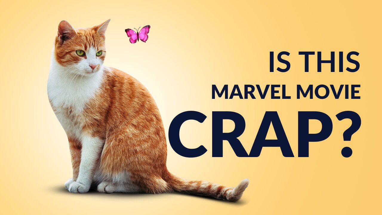 High Not To Laugh: D.C Fan Reviews Thor