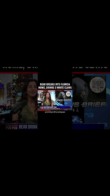 Bear Breaks into Florida Home, Drinks 3 White Claws