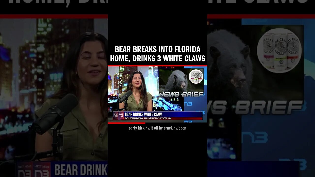 Bear Breaks into Florida Home, Drinks 3 White Claws