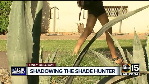 ASU professor trying to find the most shade on campus