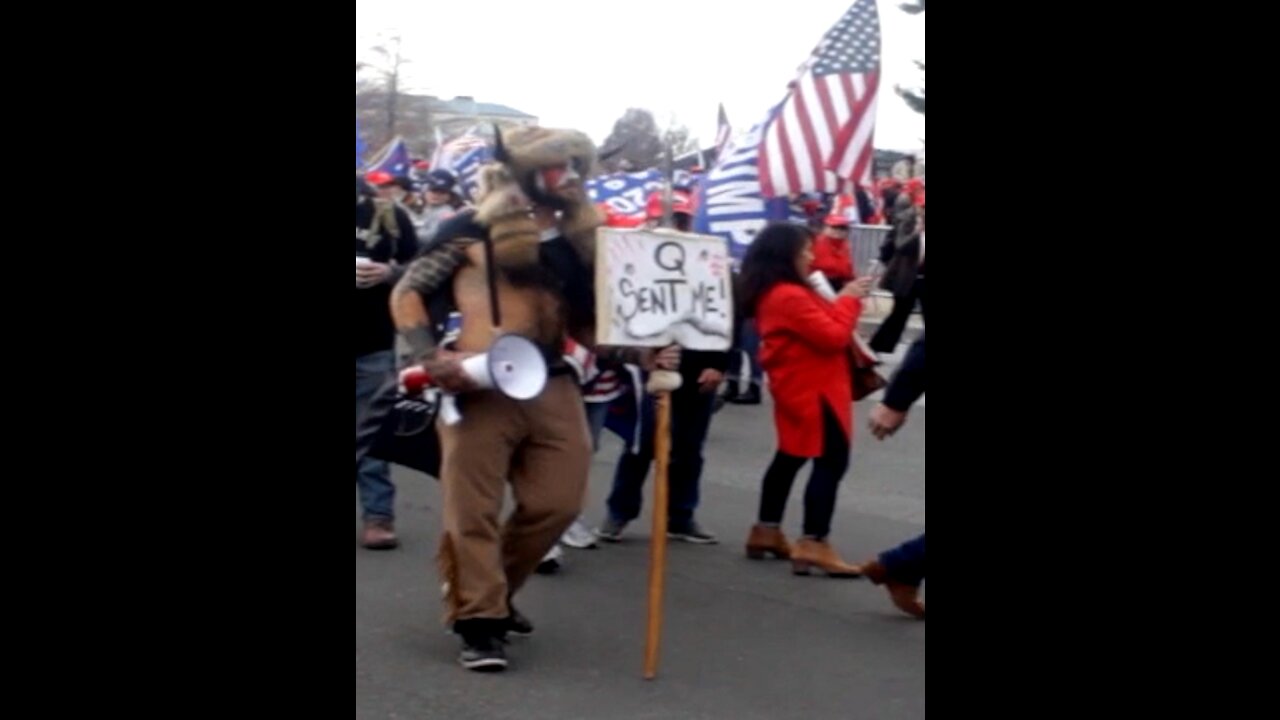 Raise The Flags: Footage from Washington DC 12/12/2020