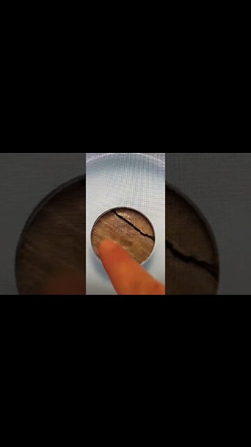 Guess what this Penny Sold for? #coin