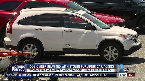 Dog owner reunited with stolen pup after carjacking