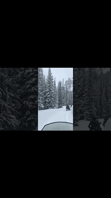 Teton National Forest #snowmobiling #shorts #nationalpark