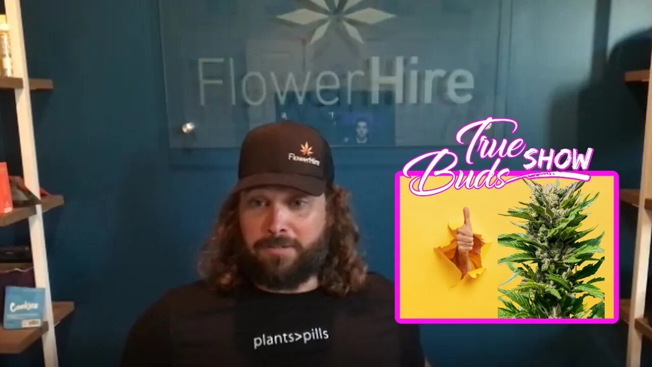 How to Break into the Cannabis Industry with David Belsky CEO of FlowerHire @TrueBudsShow