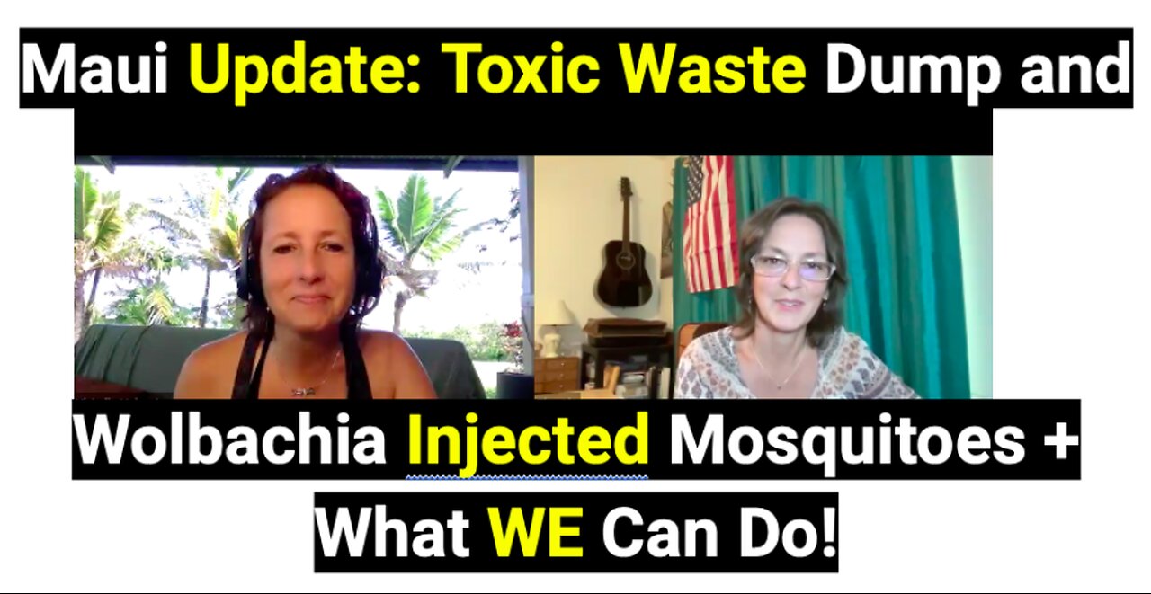 Maui Update: Toxic Waste Dump and Wolbachia Injected Mosquitoes + What WE Can Do!