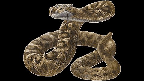 DID YOU KNOW- ABOUT SCORPION STING & RATTLESNAKE BITE INNOCULATION