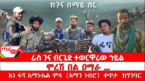 ጣና ልዩ መረጃ፦ ከጉና ሰማይ ስር… ራስ ጉና ብርጌድ ተወርዋሪው ኀይል፤ ሞረሽ በል ዐማራ …እነ ፋኖ አማኑኤል ሞላ (አማን ነብሮ) ቀጥታ ከግንባር