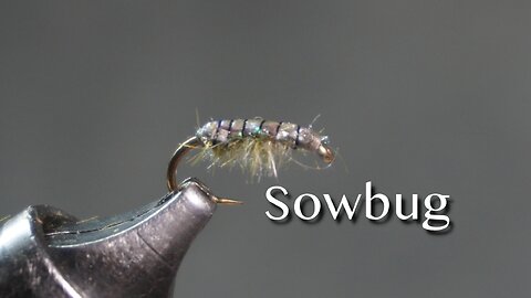 Sowbug