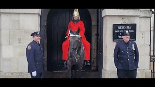 New York Police pose with the kings guard #horseguardsparade