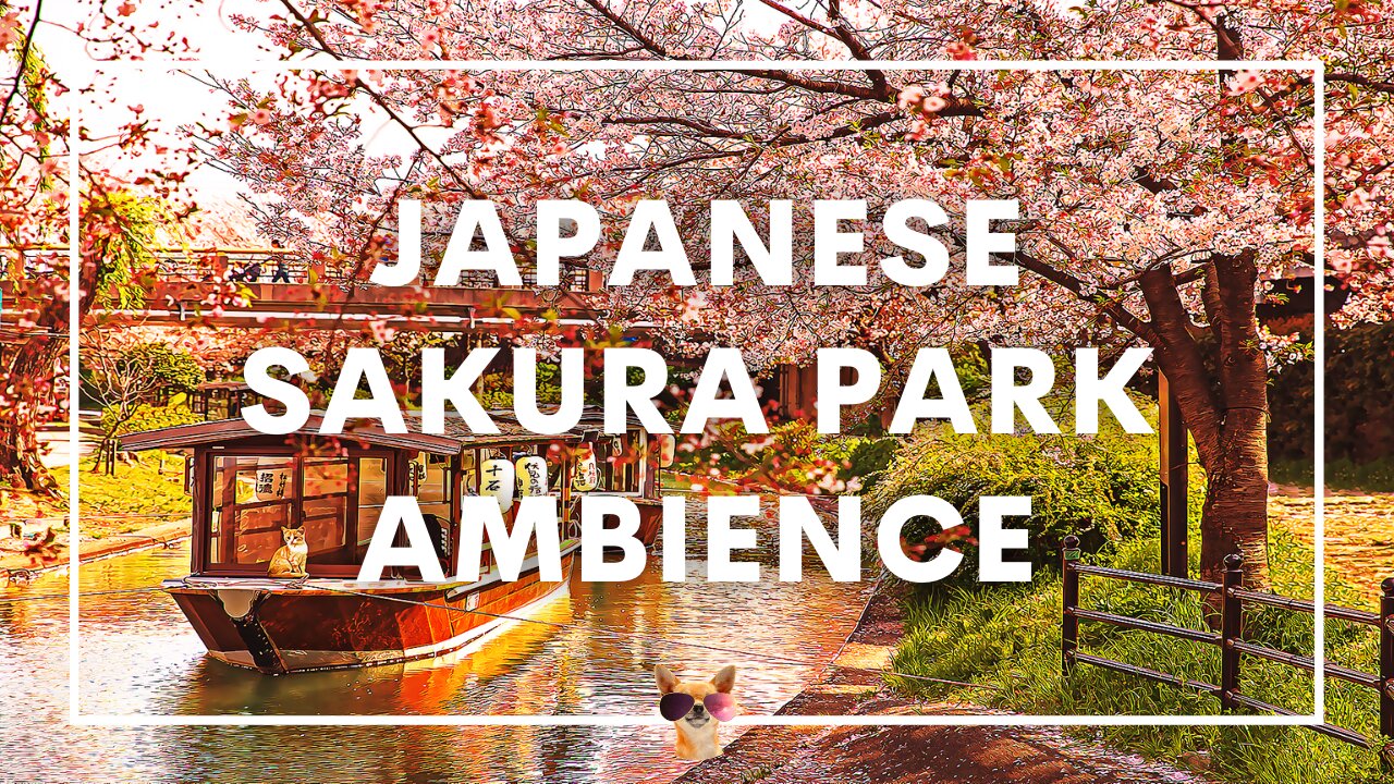 2 Hours of Beautiful Japanese Sakura Cherry Blossom Park Ambient Sounds | Spring White Noise ASMR