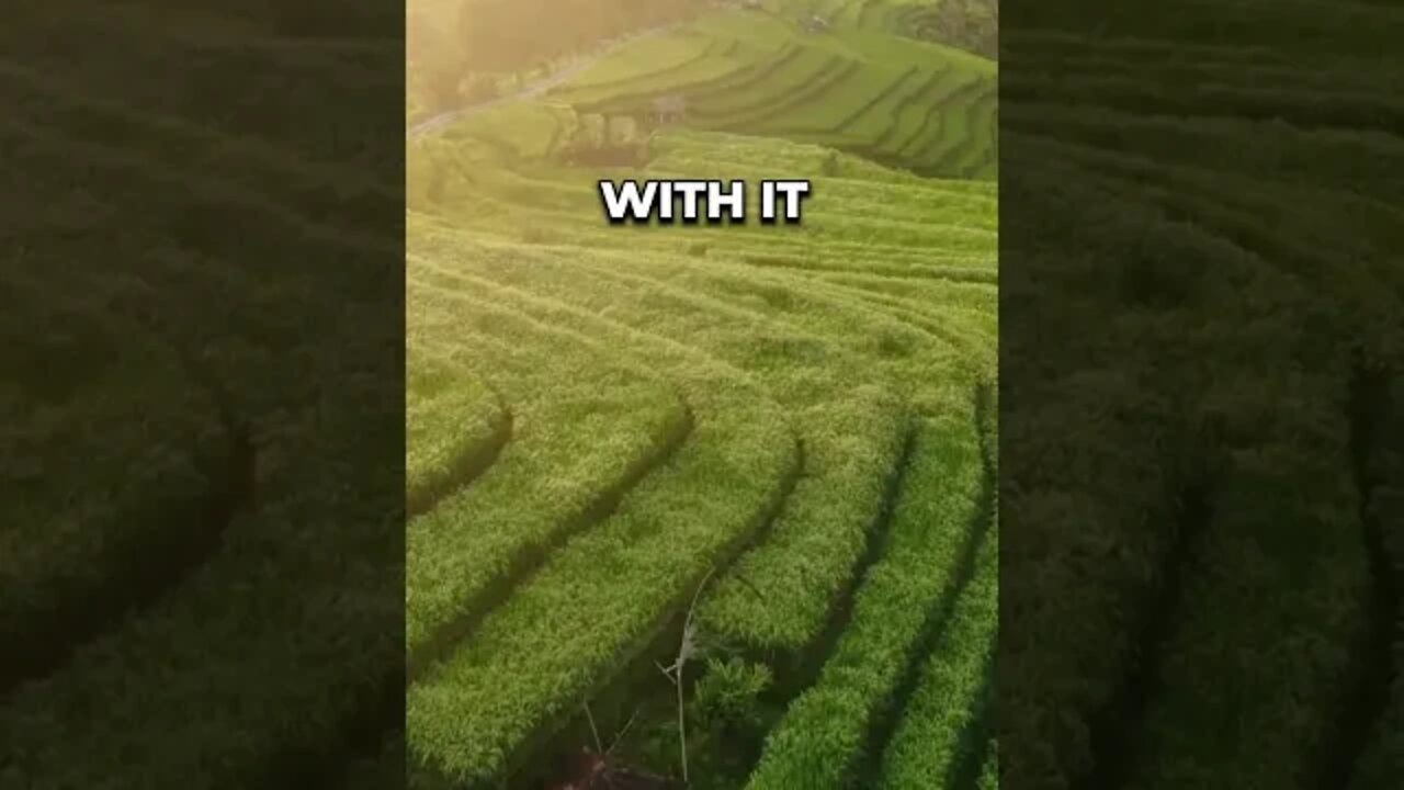 You are filled with hope tonight. #meditation editation #sleep #shorts