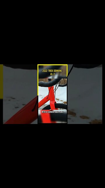 A Beginner's Dream Come True? - Trek Domane AL 2