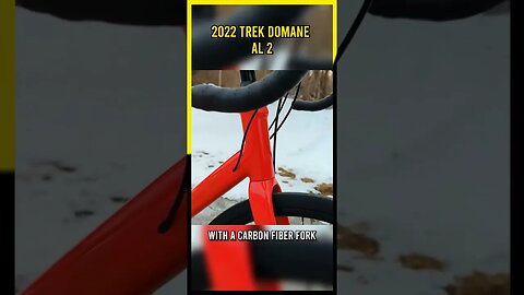 A Beginner's Dream Come True? - Trek Domane AL 2