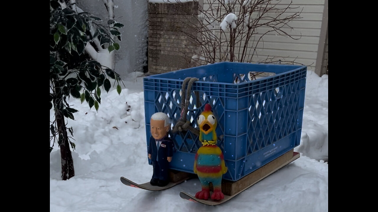 Joe and Chicken go sledding