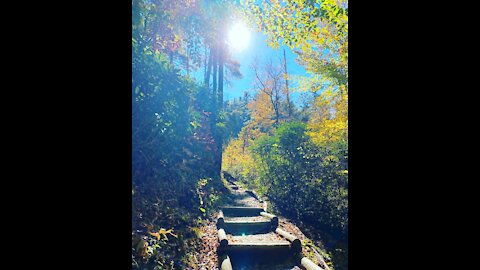 Spectacular Fall Colors • Dick's Creek Falls • Trahlyta Falls • The Tomato House