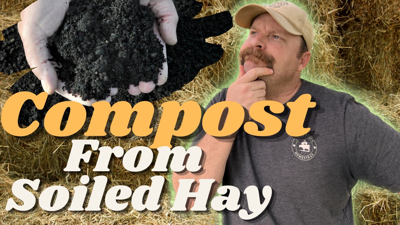 Making (Black Gold) COMPOST From Soiled Hay Bedding