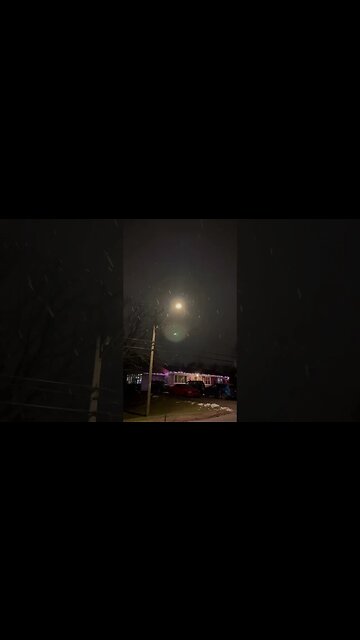 Snow Falling Peacefully in Canada